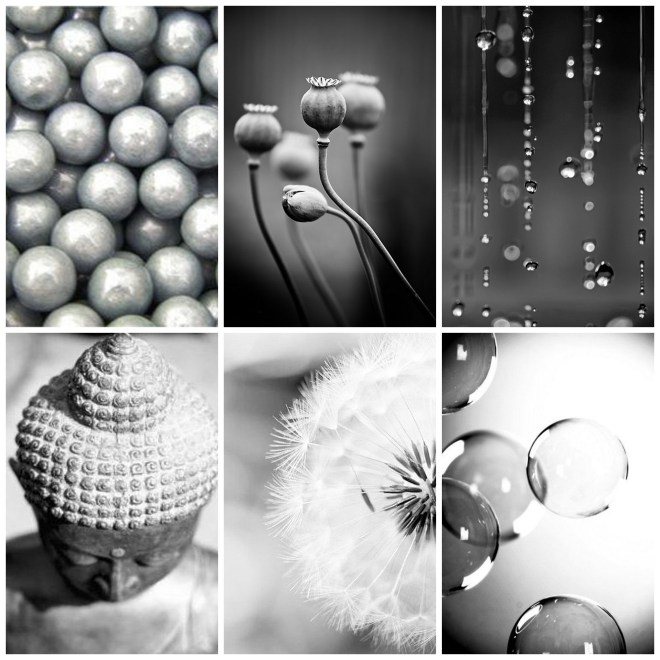 grey - by Myra Madeleine