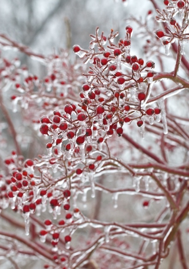 Myra Madeleine | chasing the sweet things in life