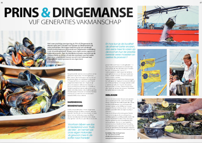 artikel Prins &amp; Dingemanse